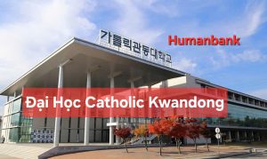 90 dai hoc catholic kwandong 1774617034