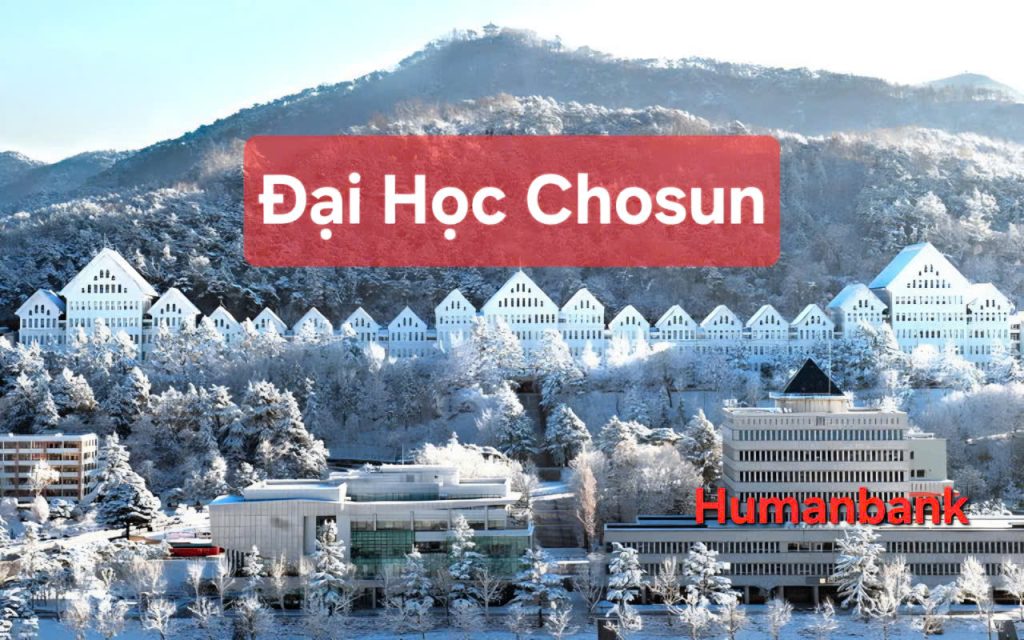 96 dai hoc chosun 1774669123