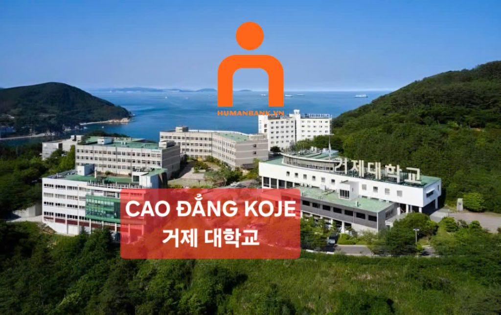 Trường Koje College - 거제대학교 1 SpoQGVDIkTswLIvYqIhipE7YsR3cwRd09Hwo537B